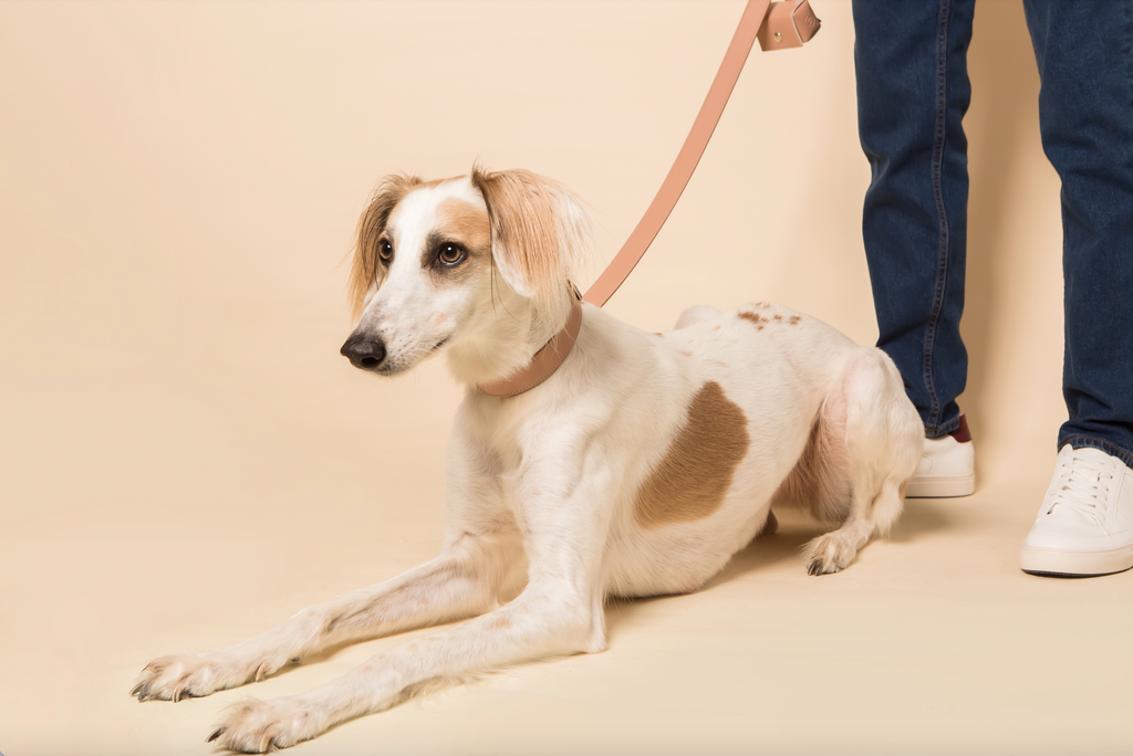 Hundkoppel i äppelläder – blushrosa