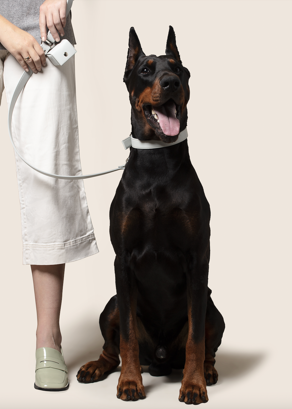 Hundhalsband i veganskt äppelläder – isblå