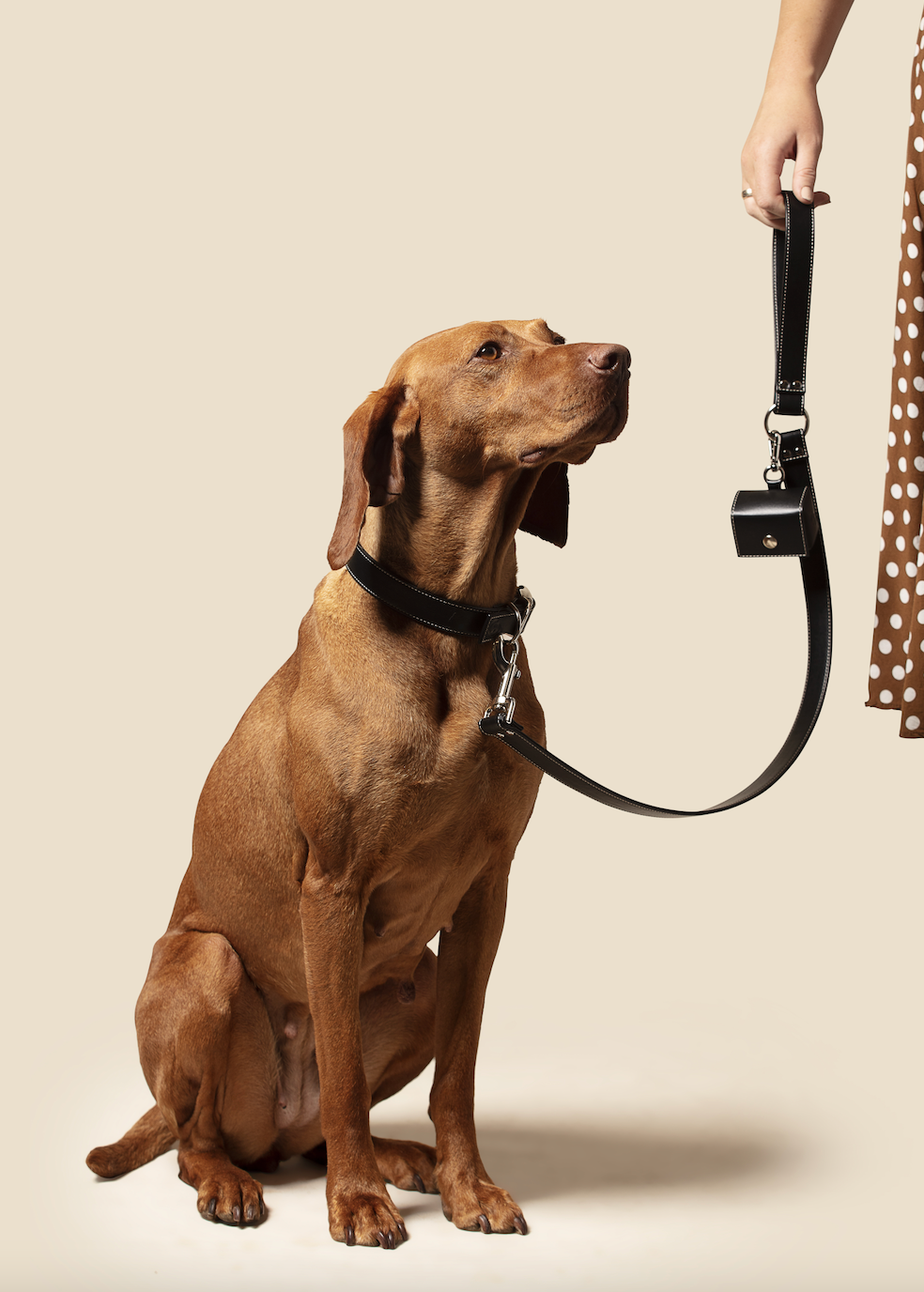 Hundhalsband i veganskt äppelläder – klassisk svart