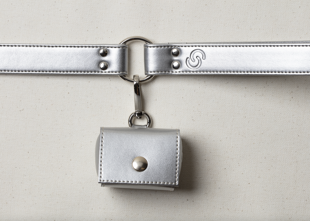 Hundkoppel i äppelläder – silver